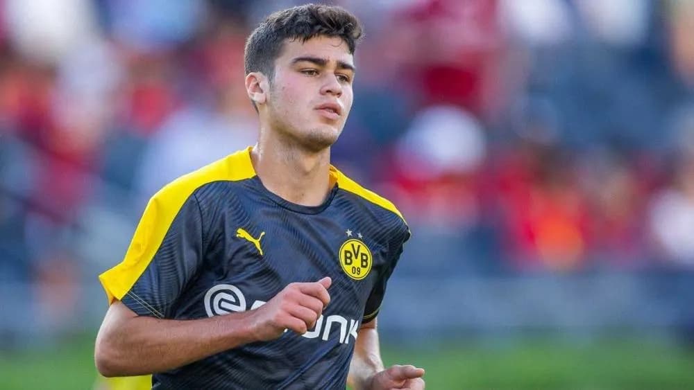 Top 5 American players currently playing in the Bundesliga