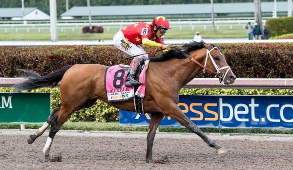 Horse Racing picks at Santa Anita for Saturday, June 19: None Above The Law above all