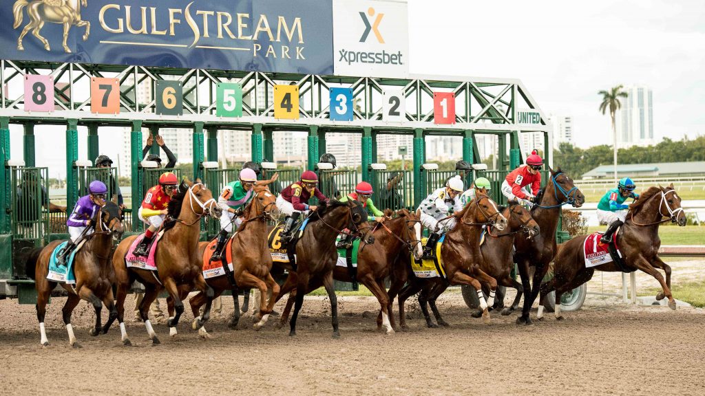 Horse Racing Picks For Gulfstream Park Race Track On Saturday