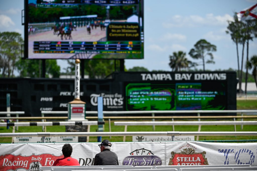 Tampa Bay Downs Track Guide & Tampa Bay Downs Picks Pickswise