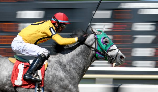 Horse Racing picks for Finger Lakes on Wednesday, July 14: Strike gold with True Gold