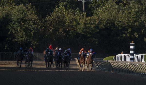 Horse Racing picks at Parx for Monday, June 28: Gia's Fuego en fuego
