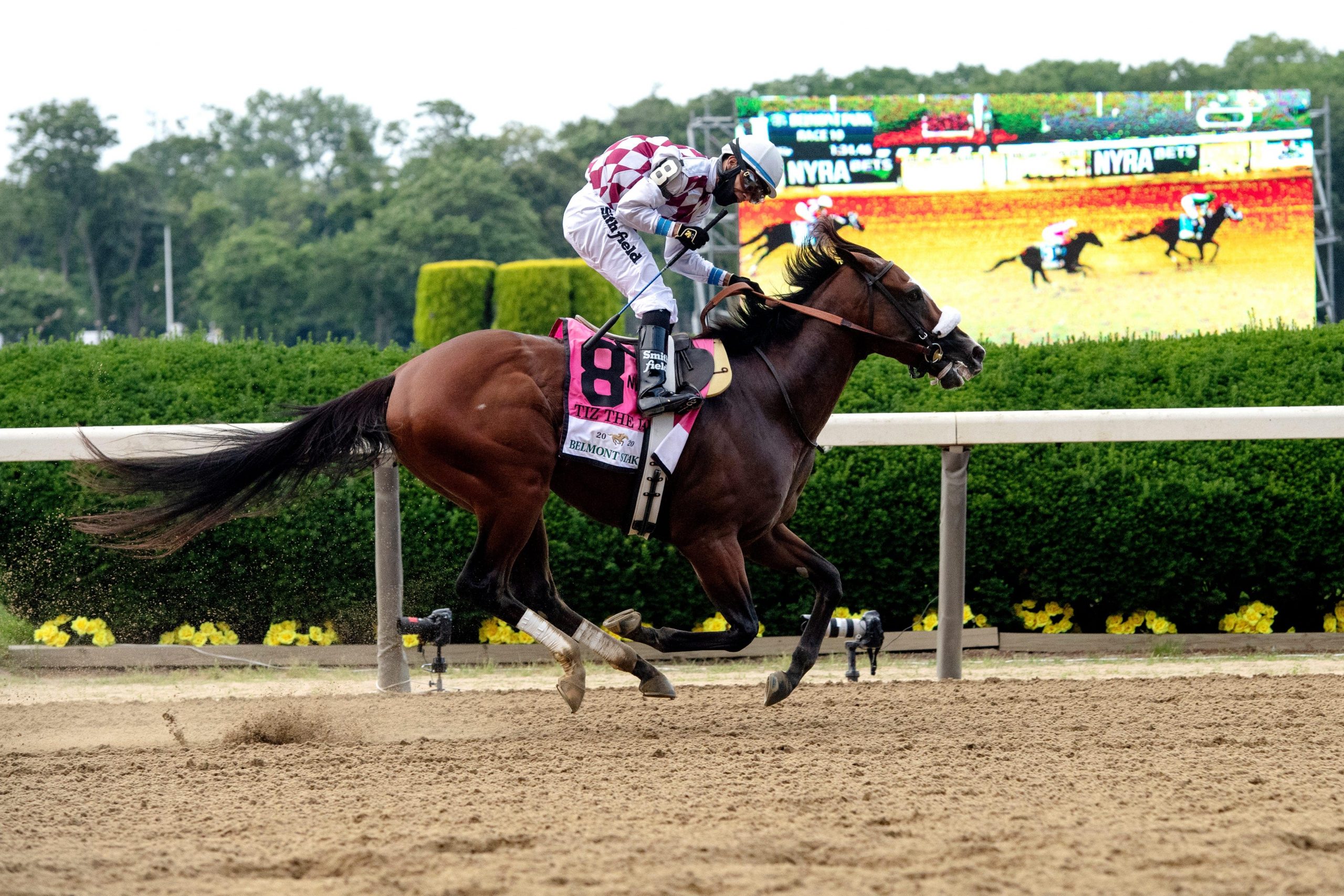 Horse Racing Picks at Belmont Park for Saturday, May 29 Hedge your bet