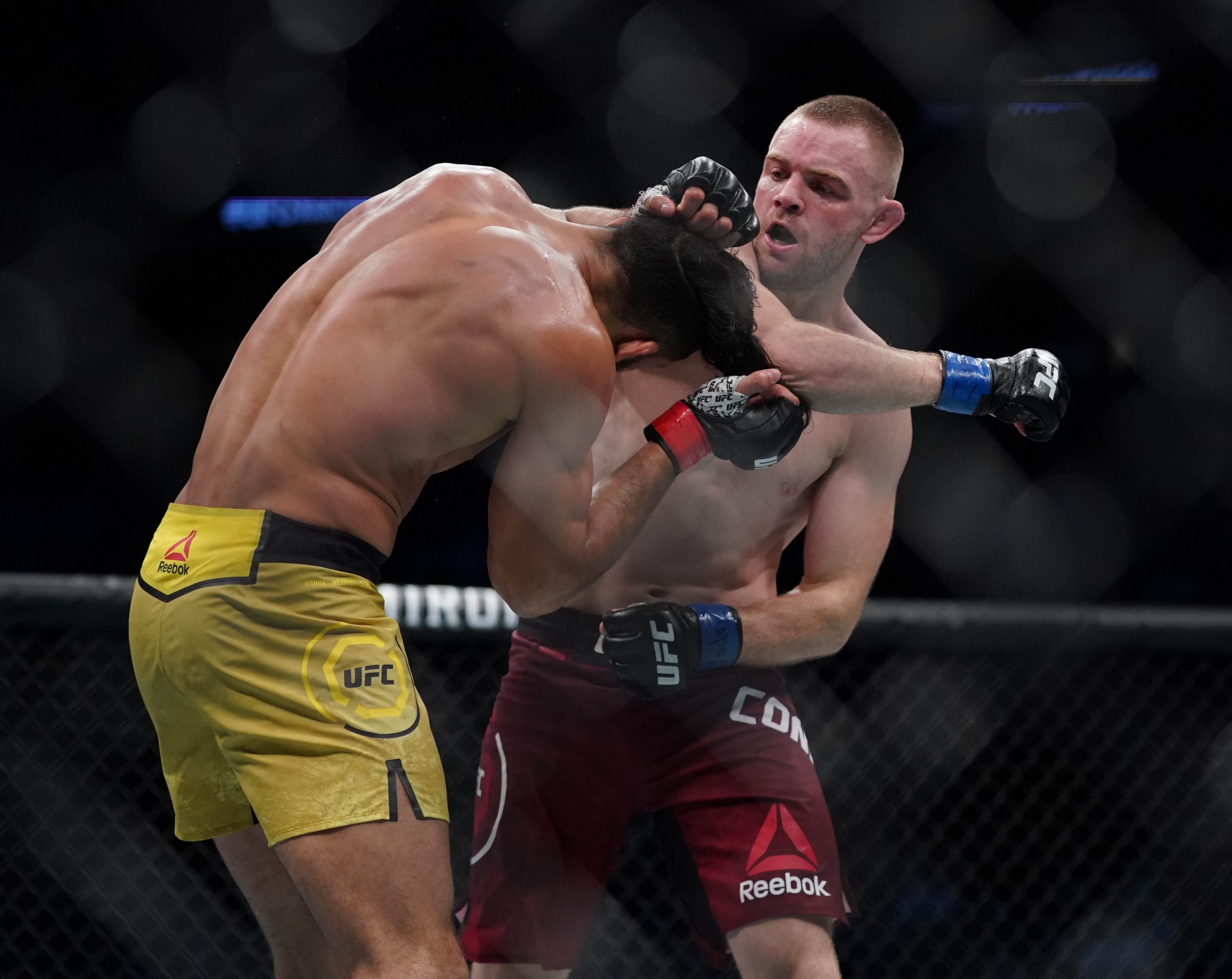 UFC 261: Patrick Sabatini vs. Tristan Connelly Predictions ...