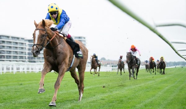 Royal Ascot horse racing picks and predictions for Saturday's races: Dream Of Dreams set to put Diamond Jubilee rivals to bed